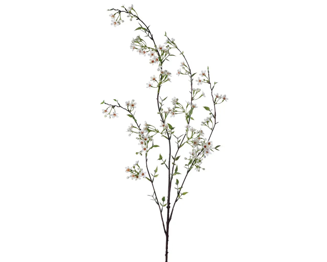 Wax Flowers Faux