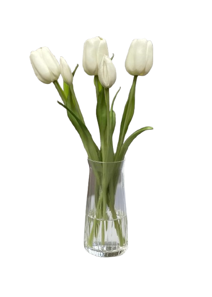 Long Stem Tulips