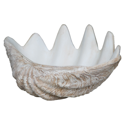 Giant Clam Bowl