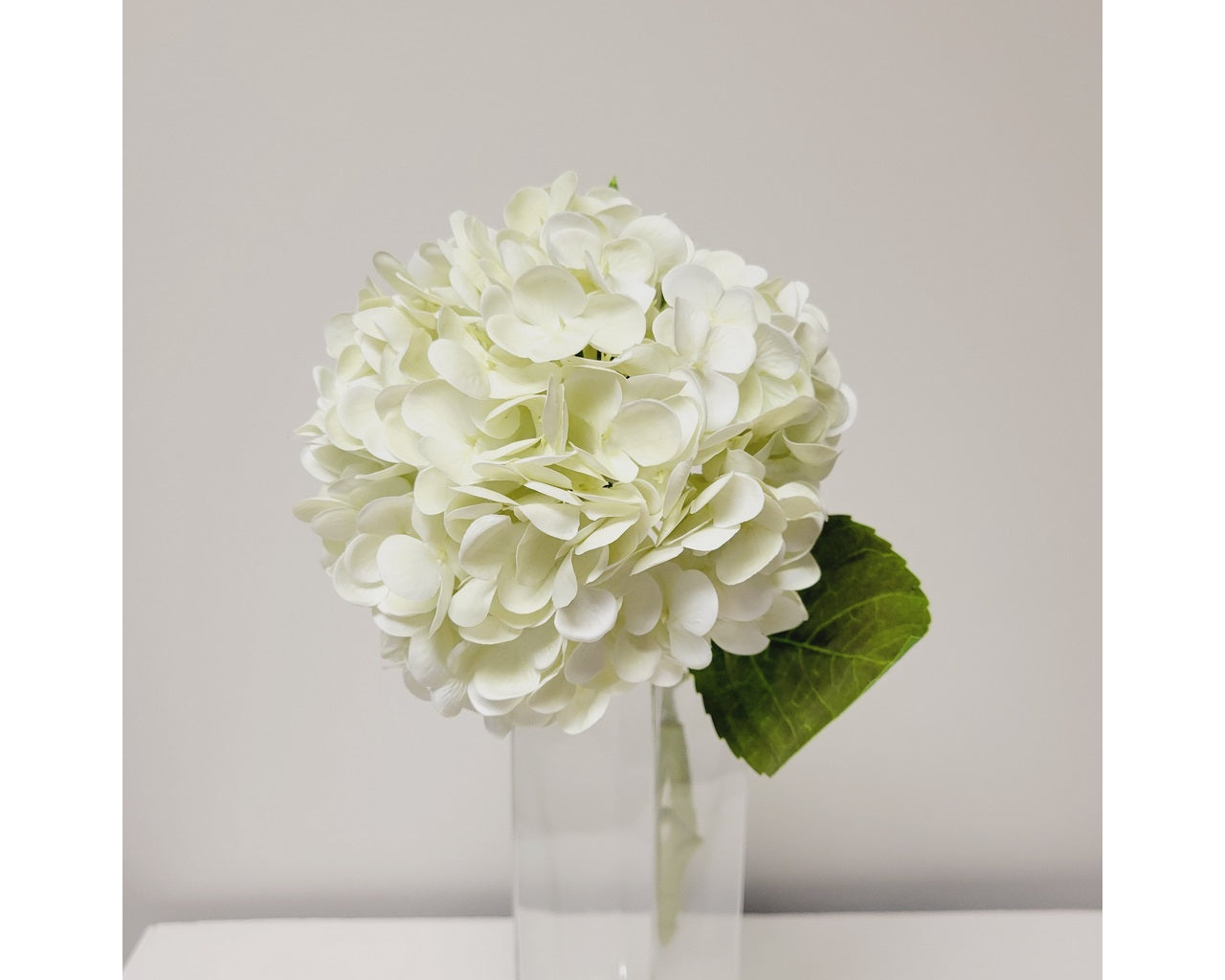 Hydrangea Faux